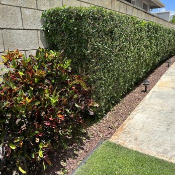 Aloha 'Aina Landscaping - Gardens with new compost, topsoil, and premium mulch. - Landscaping Near Me - Waimanalo, Hawaii