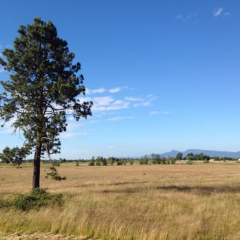 Meadow Lark Prairie - Parks Near Me - Eugene, Oregon