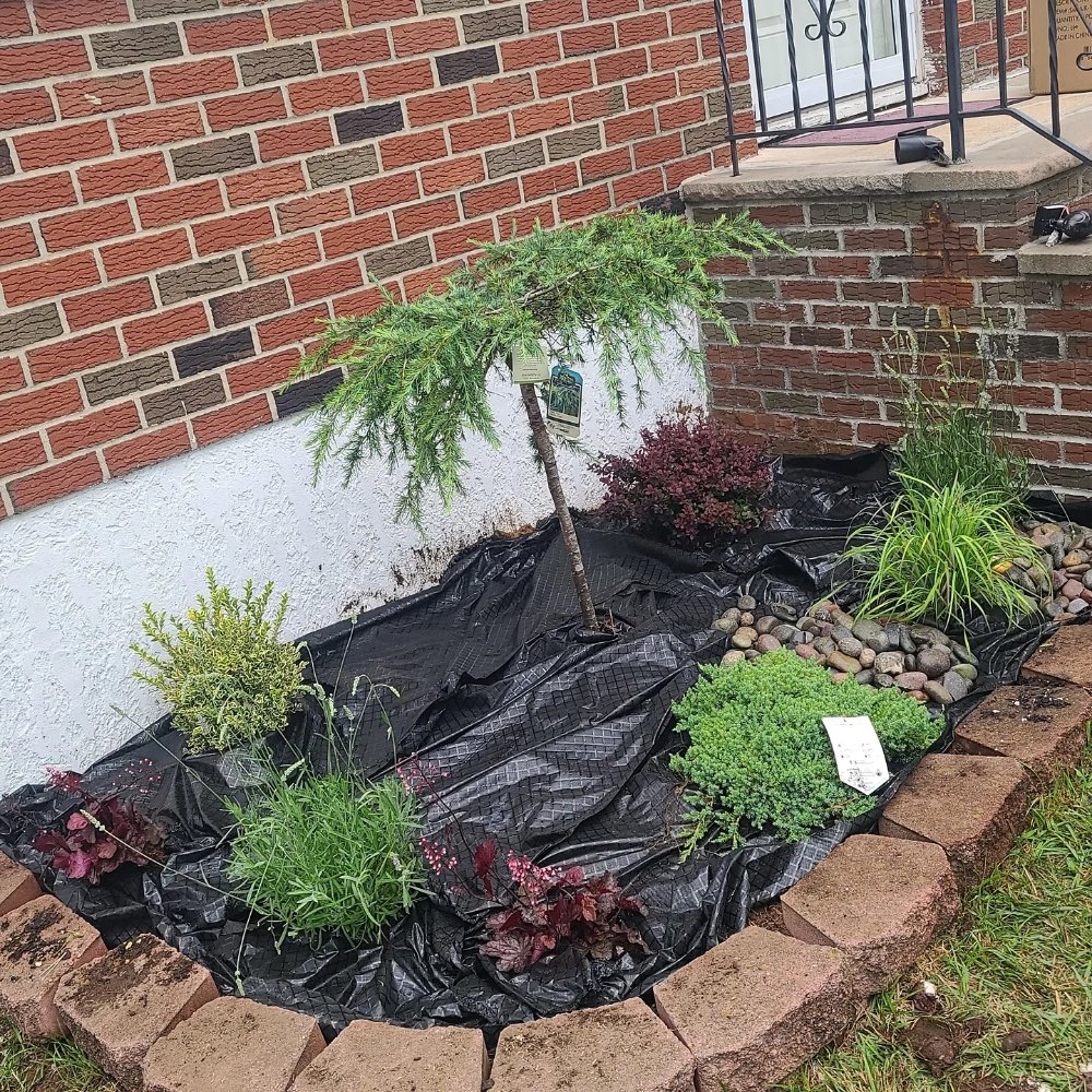 Slide of Brothers & lawns landscaping and maintenance