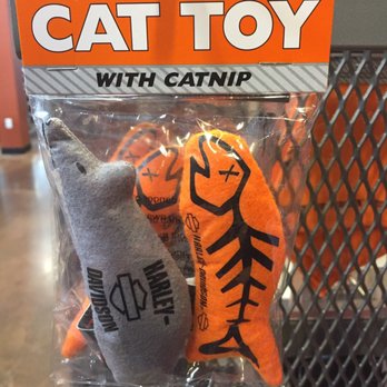 Palm Beach Harley-Davidson - Catnip - Motorcycle Dealers Near Me - West Palm Beach, Florida Palm Beach Harley-Davidson - Catnip - Motorcycle Dealers Near Me - West Palm Beach, Florida