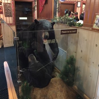 Wildcat Inn - These bears look too fierce to be from Chicago. - Seafood Near Me - Neillsville, Wisconsin