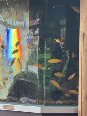 Muchas Gracias Mexican Food by null