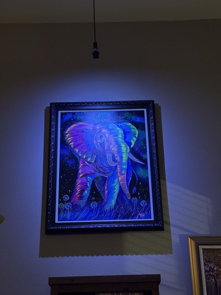 Slide of Special T Electric