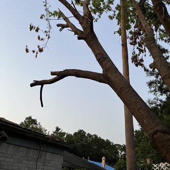 Quality Tree Service and Landscaping - Tree Services Near Me