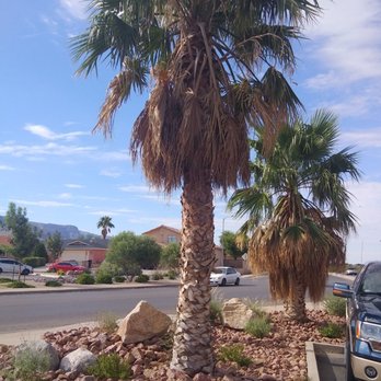 Hampton Inn Alamogordo - Hotels Near Me - Alamogordo, New Mexico Hampton Inn Alamogordo - Hotels Near Me - Alamogordo, New Mexico