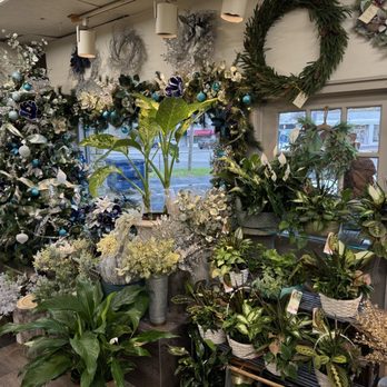 Trillium's Courtyard Florist - Inside - Florists Near Me - Amherst, New York Trillium's Courtyard Florist - Inside - Florists Near Me - Amherst, New York
