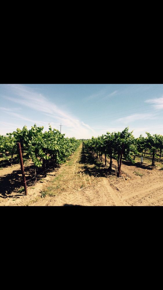 R & G SCHATZ FARMS - Updated December 2025 - 18247 N Tretheway Rd ...