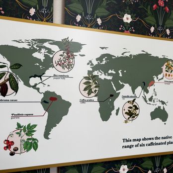United States Botanic Garden - Botanical Gardens Near Me - Washington, DC, District of Columbia United States Botanic Garden - Botanical Gardens Near Me - Washington, DC, District of Columbia