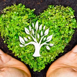 Crossroads Healing Arts - "The Way to Good Health Starts at Crossroads"