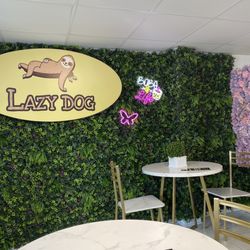 Lazy Dog - Inside
