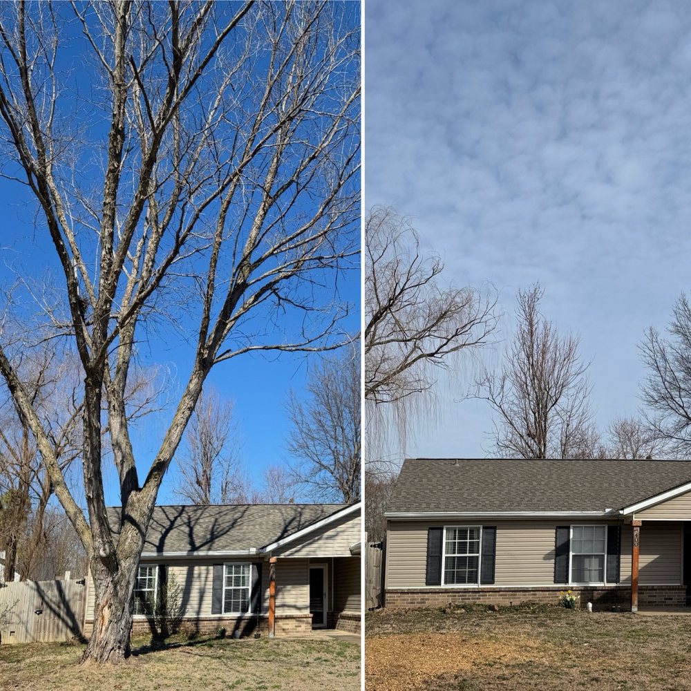 Charley's Tree Service - tree service in Rogers, AR