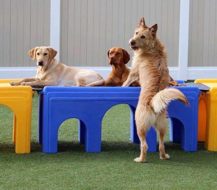 MOUNTAIN VIEW PLAY AND STAY Updated July 2024 10 Photos 13914 NE