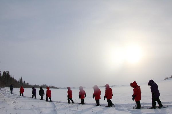 Yellowknife Tours by null