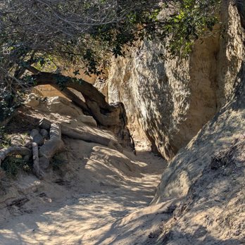 Annie's Canyon Trail - Hiking Near Me - Encinitas, California