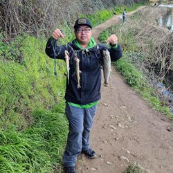 Trout fishing