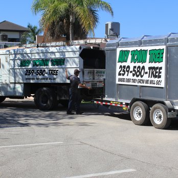 Any Town Tree - Professional Equipment to properly remove trees - Tree Services Near Me - Naples, Florida