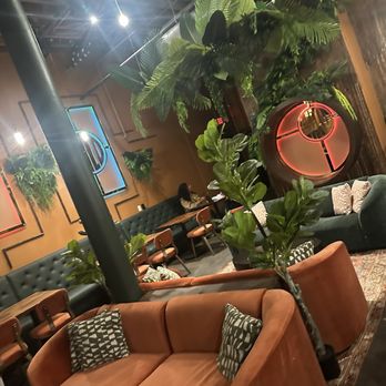Wild Child - Cocktail Bars Near Me - Minneapolis, Minnesota
