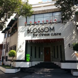 Blossom