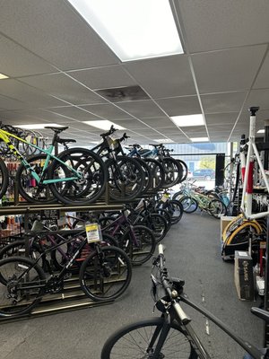 Beverly Hills Bike Shop by null