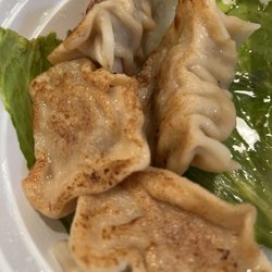 Pan fried pork dumplings