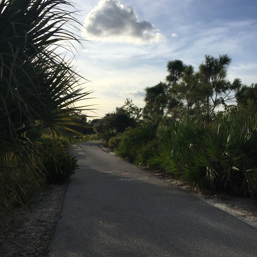Plantation Preserve Linear Trail - Parks Near Me - Plantation, Florida Plantation Preserve Linear Trail - Parks Near Me - Plantation, Florida
