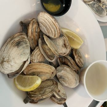 NE Seafood Shack - Steamers - Seafood Near Me - Leesburg, Florida NE Seafood Shack - Steamers - Seafood Near Me - Leesburg, Florida