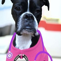 Sally Said So Professional Dog Training