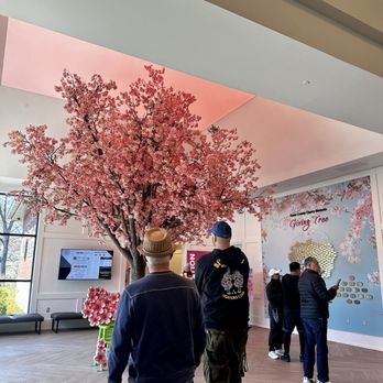 Branch Brook Park - Cherry Blossom Welcome Center - Parks Near Me - Newark, New Jersey