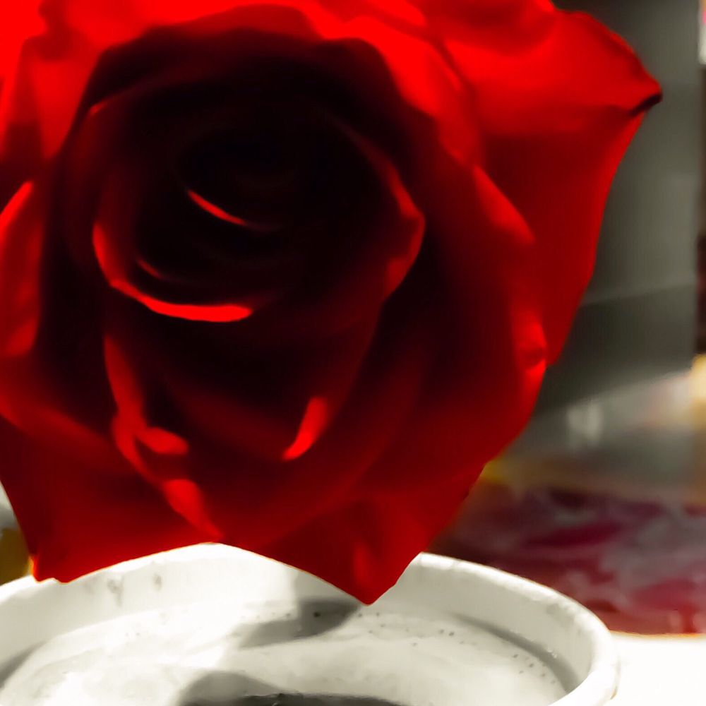 M Resort - The rose is without an explanation; she blooms because she blooms. - Hotels Near Me - Henderson, Nevada M Resort - The rose is without an explanation; she blooms because she blooms. - Hotels Near Me - Henderson, Nevada