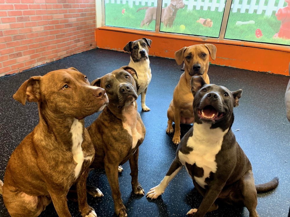 RIVERDOG MALDEN Updated August 2024 39 Photos & 20 Reviews 297