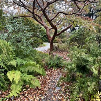 Connie Hansen Garden Conservancy - Botanical Gardens Near Me - Lincoln City, Oregon