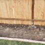 Randy Landscaping Services