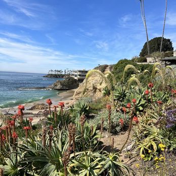 Heisler Park - Parks Near Me - Laguna Beach, California Heisler Park - Parks Near Me - Laguna Beach, California