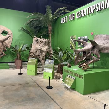 Indiana Dinosaur Museum - Skulls - Children's Museums Near Me - South Bend, Indiana Indiana Dinosaur Museum - Skulls - Children's Museums Near Me - South Bend, Indiana