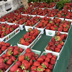 Ledesma Family Farms - Strawberries at the Fort Mason Center Farmers Market