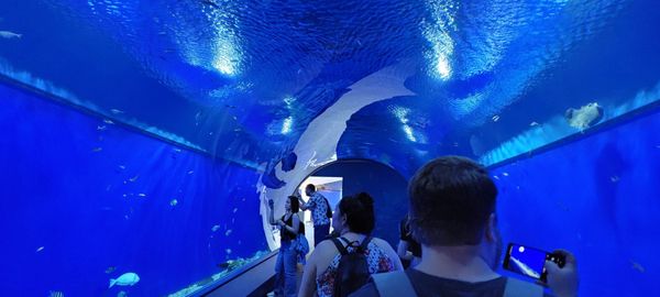 Osaka Aquarium Kaiyukan by null