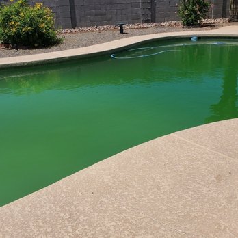 Aqua Shine Pool Services - When it started to clear after 6 almost 7wks of being green - Pool Cleaners Near Me - Phoenix, Arizona