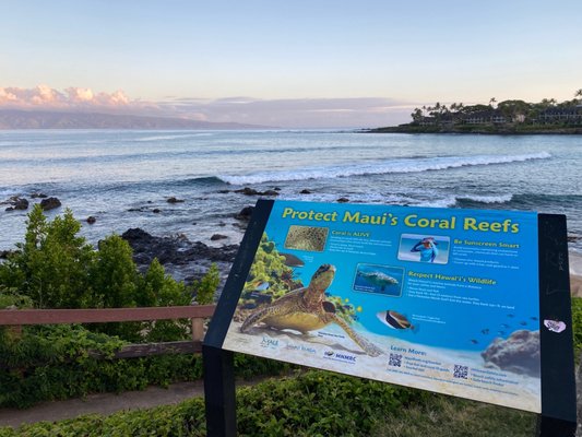 Napili Shores Maui by Outrigger by null
