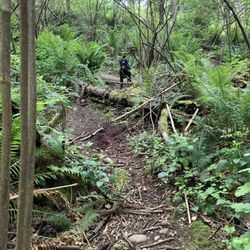 Viking Off-leash Dog Park - 6/2022: trails are nice, not ADU accessible, but make for a good hike with varying elevation.