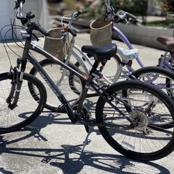 coyote mountain bike