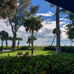 a view of the beach and palm trees