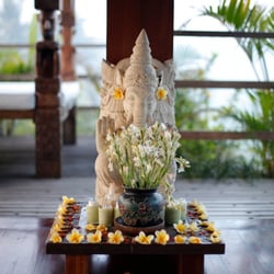 Alchemy Tours - Bali Yoga Retreat September 13-20 2014