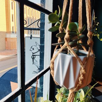 Old Hat Bar - hanging planter in front of window - Gastropubs Near Me - Alexandria, Virginia Old Hat Bar - hanging planter in front of window - Gastropubs Near Me - Alexandria, Virginia