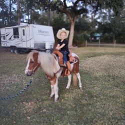 Baptist North Medical Campus - Hanging with his pony
