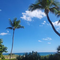 Beach Club Apparel - Delray beach
