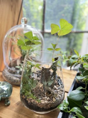 Portland Nursery by null