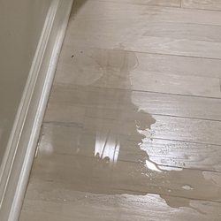 SERVPRO of Mobile County - Water all over our wood floors- but thanks to Servpro we were able to save our floors and not have to replace!