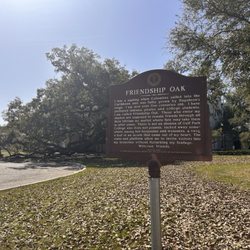 Friendship Oak At The University of Southern Mississippi