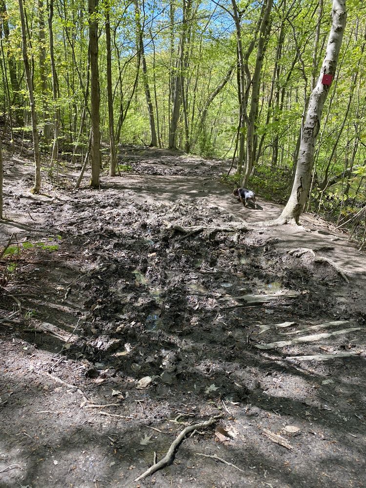 ROYALTON RAVINE COUNTY PARK Updated May 2024 117 Photos & 14