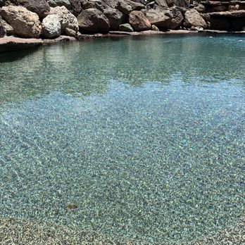Danehill Manor - Gorgeous pool - Horseback Riding Near Me - Nicasio, California Danehill Manor - Gorgeous pool - Horseback Riding Near Me - Nicasio, California
